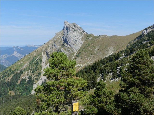P1160391.JPG
