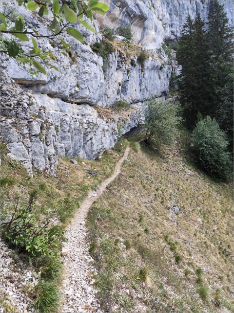 IMG-20260815-WA0007.jpg