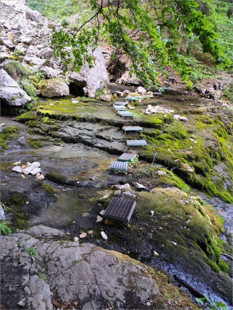 IMG-20260815-WA0022.jpg