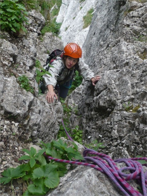 P1010767.jpg