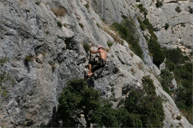 Dentelles Montmirail 7.JPG