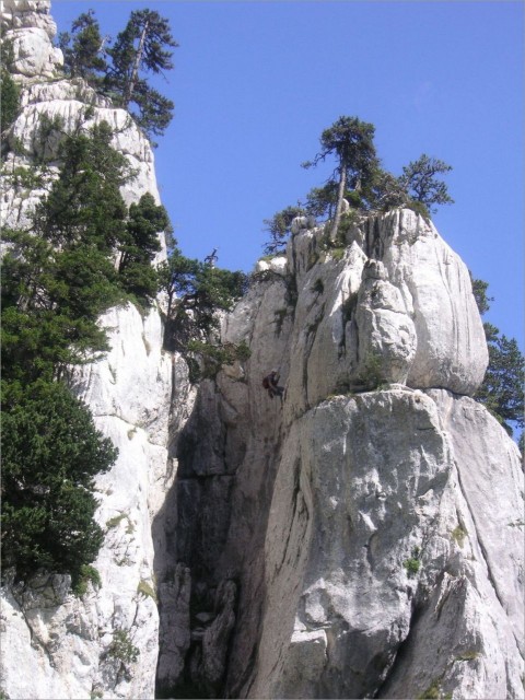 2010-07-25,15-54-57.jpg