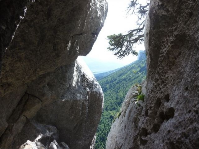 L'Astragale (Chartreuse) - 25072010 - 12.jpg