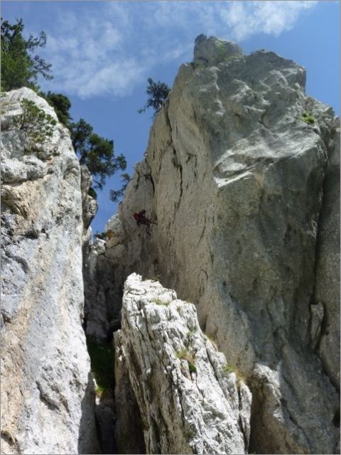 L'Astragale (Chartreuse) - 25072010 - 15.jpg