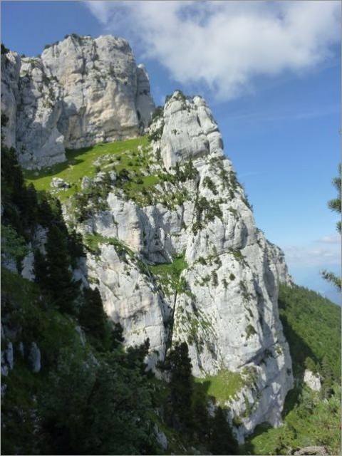 L'Astragale (Chartreuse) - 25072010 - 23.jpg