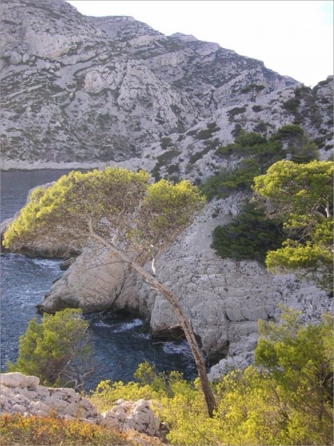 2007-11-02,16-09-27,calanque de Morgiou.jpg