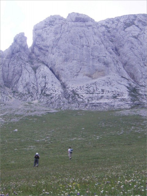 2008-06-29,11-15-41.jpg