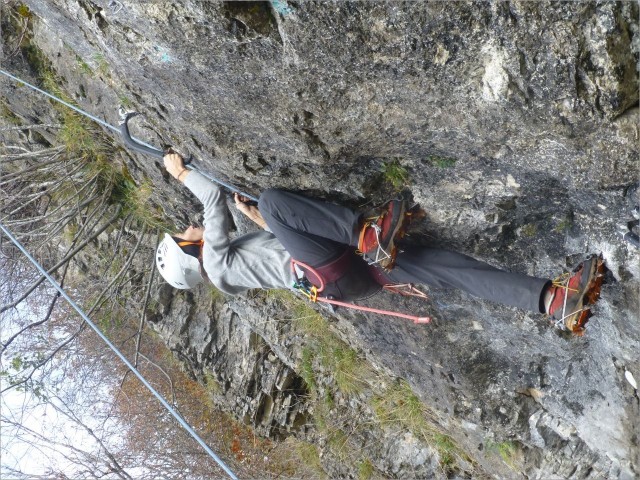 P1120335.JPG