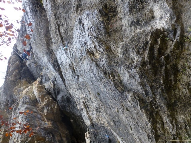 P1120346.JPG