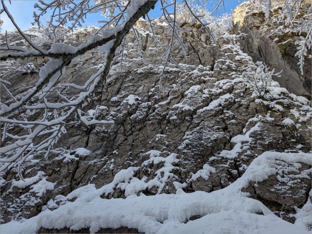 PXL_20231216_105654771.jpg
