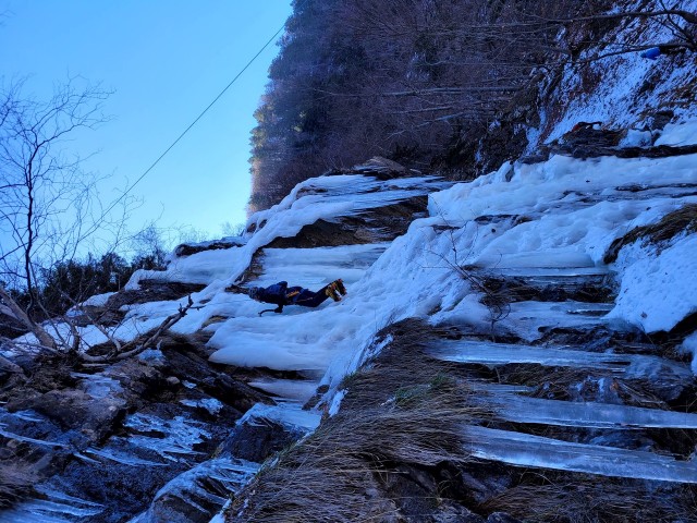 20230305_120305.jpg.resize.jpg