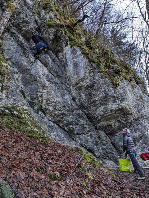 PXL_20231217_151536517.jpg