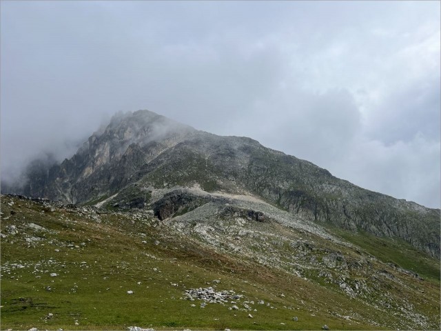 IMG_7972.jpeg