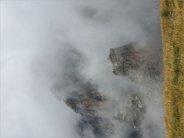 20250727_080935.jpg