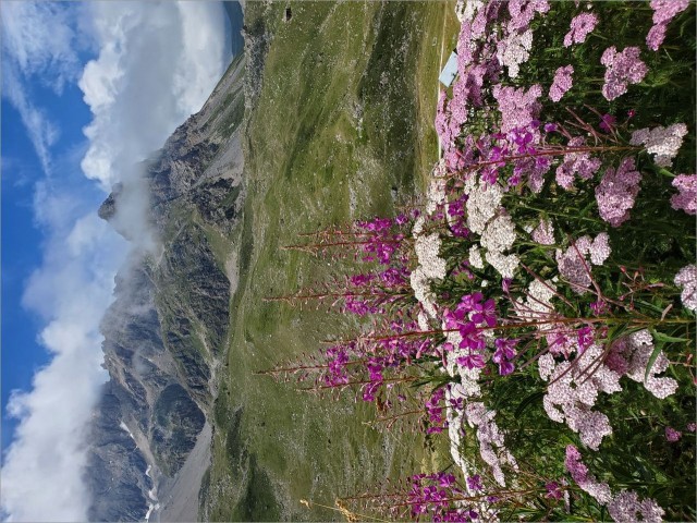 20250727_121438.jpg