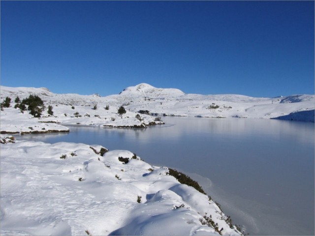Plateau du lac Fourchu 16-11-08 008.jpg