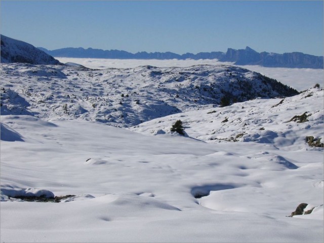 Plateau du lac Fourchu 16-11-08 019.jpg