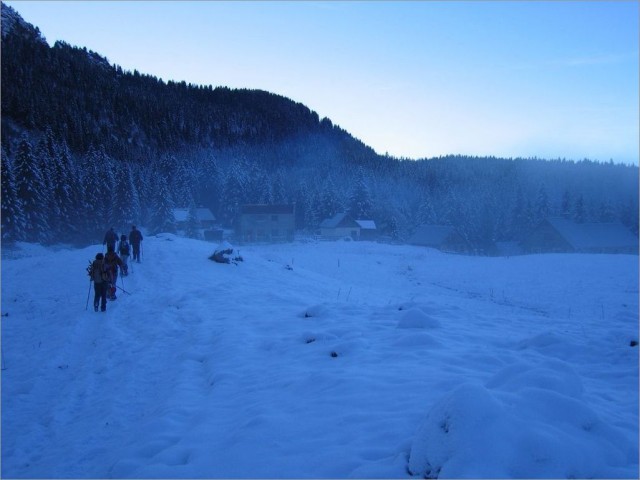 Plateau du lac Fourchu 16-11-08 024.jpg