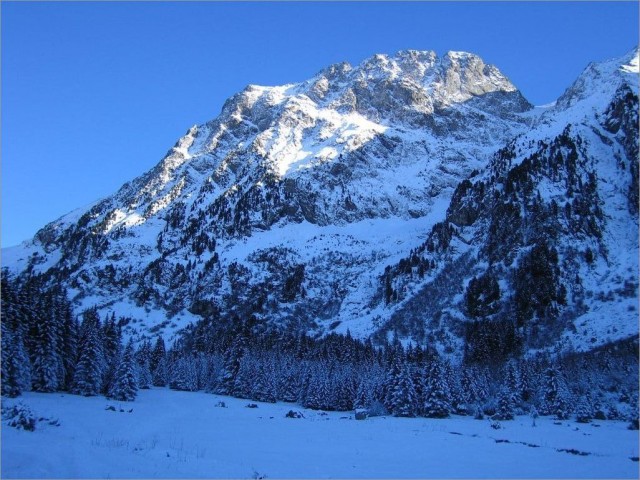 Plateau du lac Fourchu 16-11-08 026.jpg