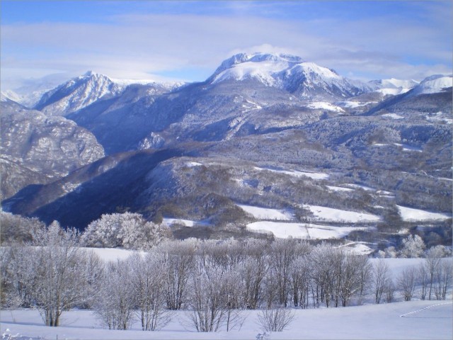 IMGP0110.jpg
