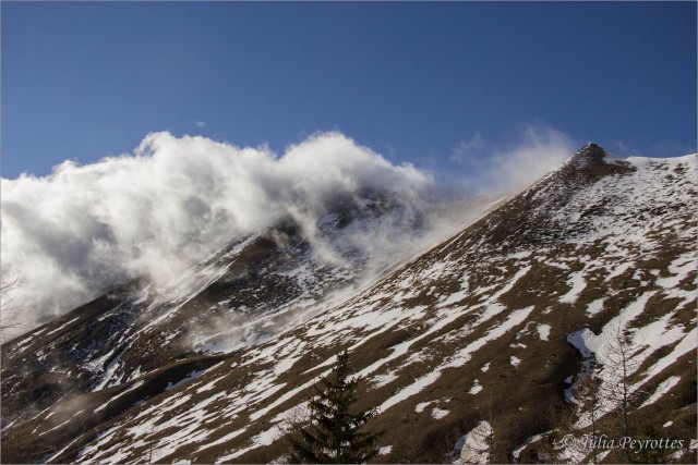 _MG_9044.jpg