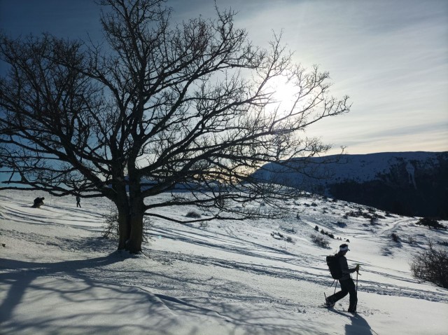 Pierre Plante 11-2025 (14).jpg