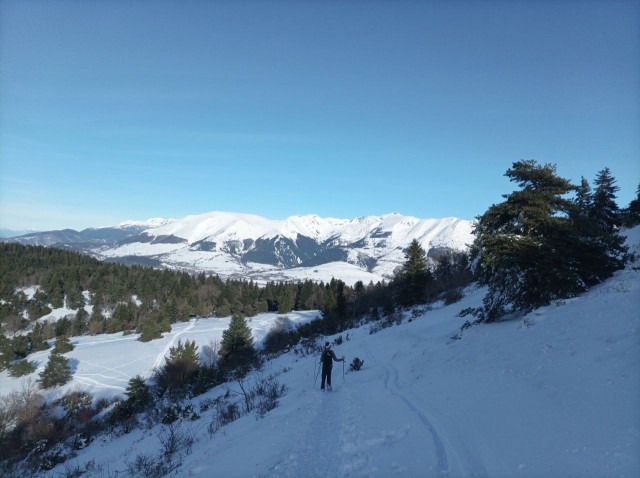 Pierre Plante 11-2025 (15).jpg