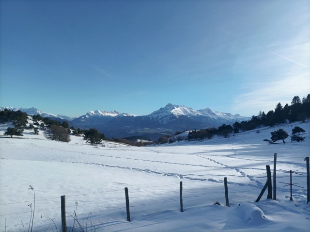 Pierre Plante 11-2025 (16).jpg