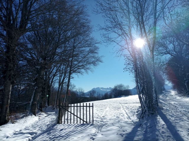 Pierre Plante 11-2025 (1).jpg