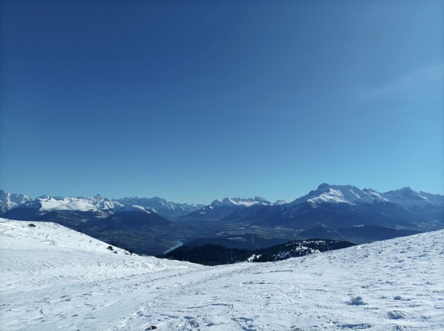 Pierre Plante 11-2025 (10).jpg