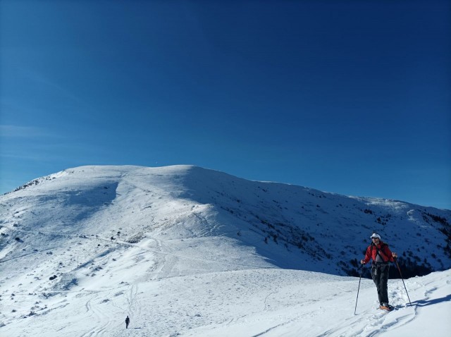 Pierre Plante 11-2025 (11).jpg