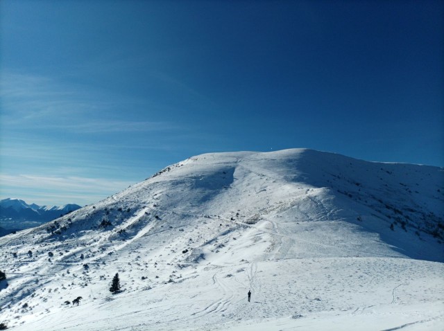 Pierre Plante 11-2025 (12).jpg