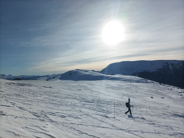 Pierre Plante 11-2025 (13).jpg