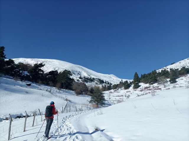 Pierre Plante 11-2025 (3).jpg