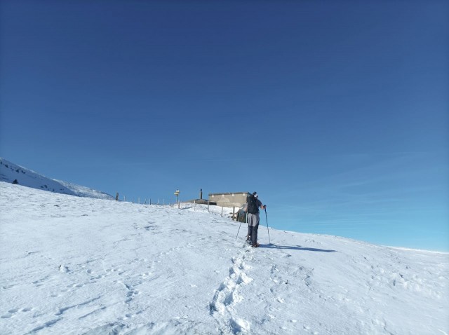 Pierre Plante 11-2025 (5).jpg