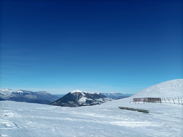 Pierre Plante 11-2025 (6).jpg