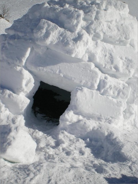 IGLOO.JPG