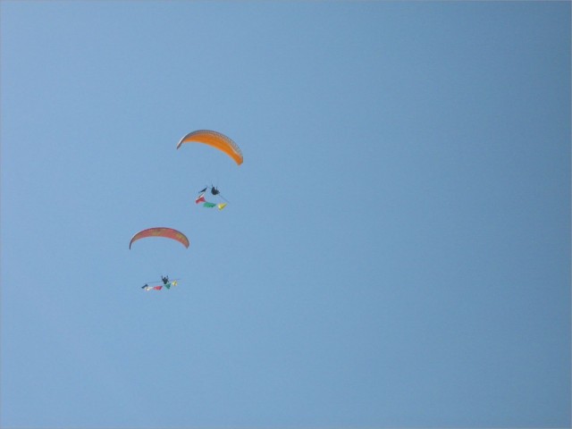 IMG_5256.jpg