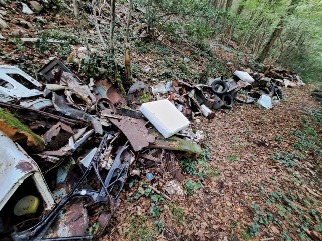 20250926_101138.jpg