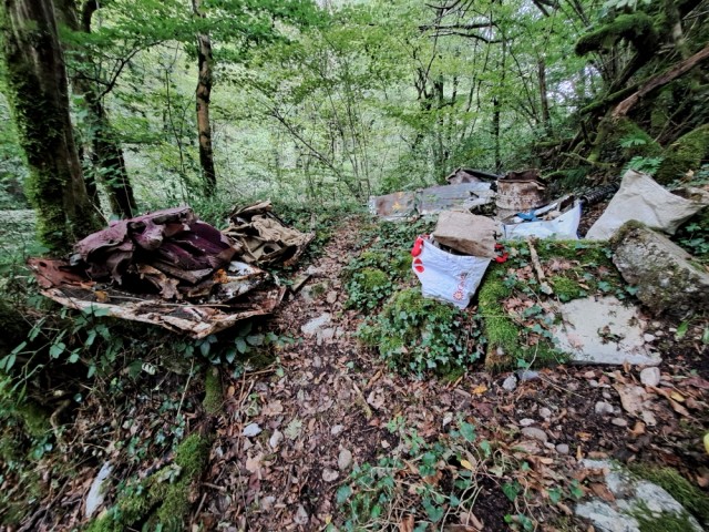 20250926_102414.jpg