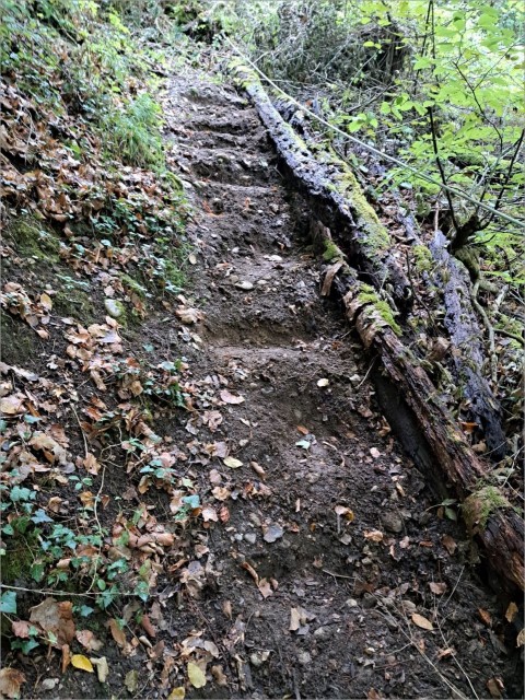 20250926_102656.jpg
