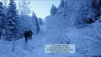 Grand Eulier 2024-01-20