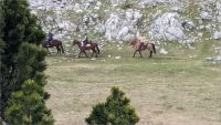 Grand Veymont en boucle  2024-05-19