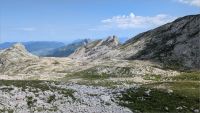 La grande et la petite Moucherolle  2024-07-27