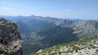 La grande et la petite Moucherolle  2024-07-27