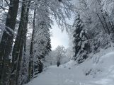 Plateau de la Moliere 2023-12-03