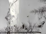 Raid en Vanoise transform en plan C comme cerces 2024-01-13