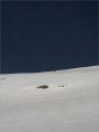 Pic Couttet 2025-02-21: chamois d�rang� durant sa pause d�jeuner....