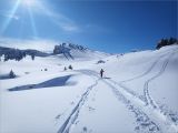 Petit Veymont et Rochers du Parquet 2026-02-01: Sur les hauts plateaux