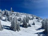 Samedi Moucherotte / dimanche Gd Sure 2026-02-21